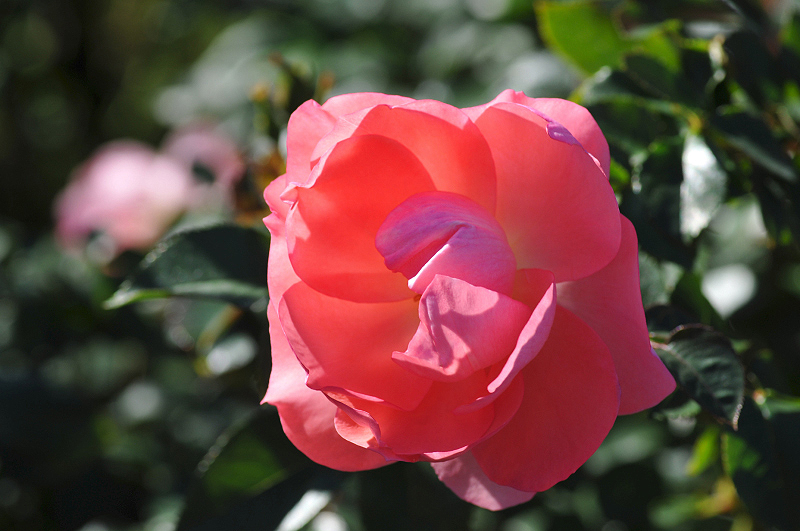 image0305