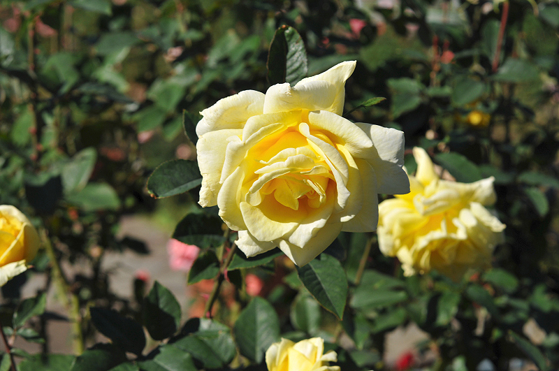 image0311