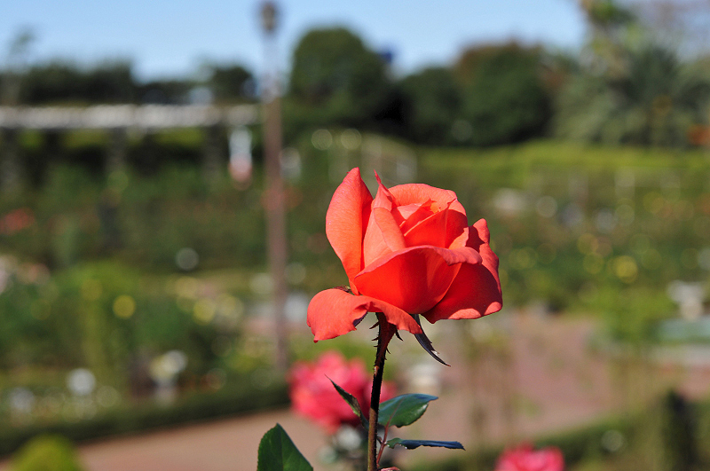 image0316