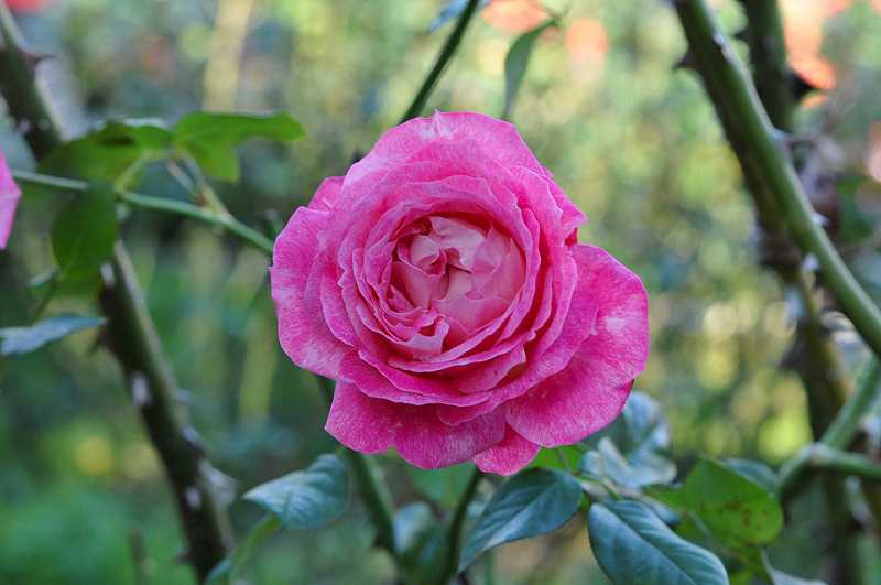 image0317
