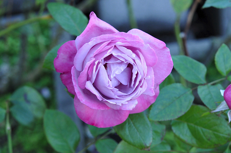 image0319