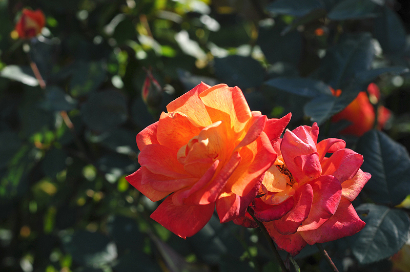 image0320