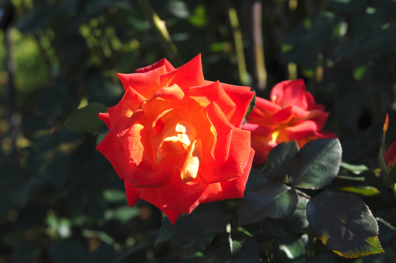 image0321