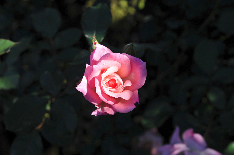 image0322