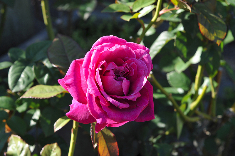 image0324
