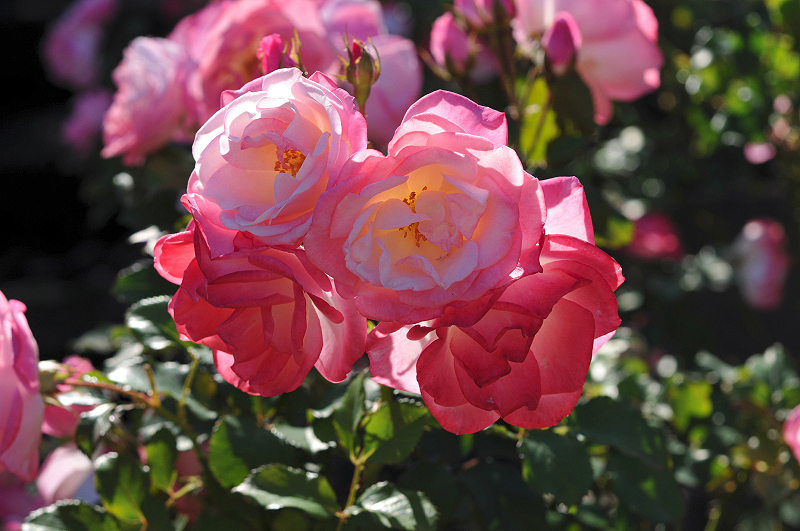 image0328