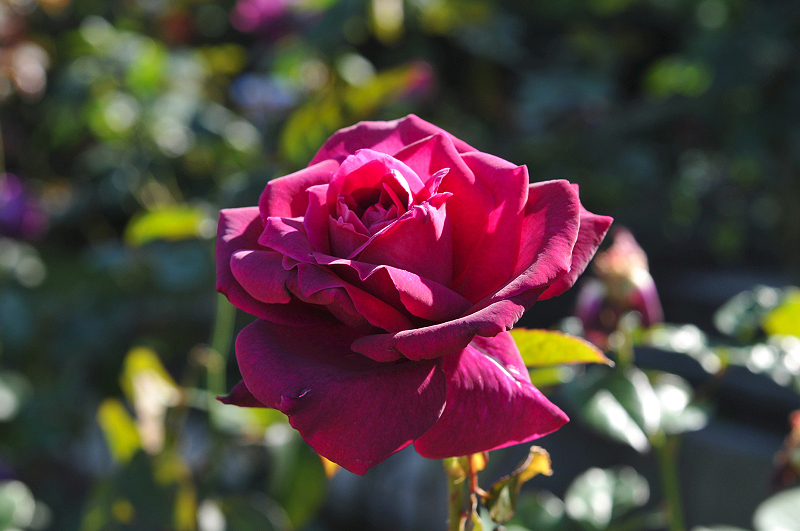 image0329