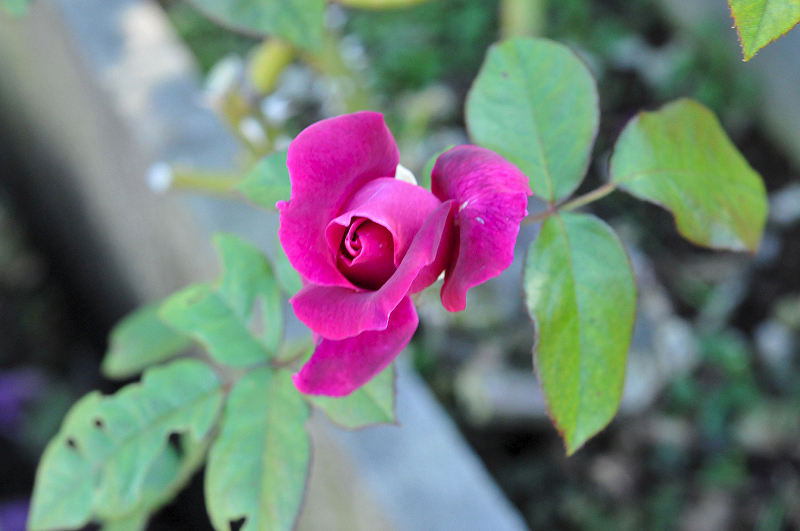 image0330