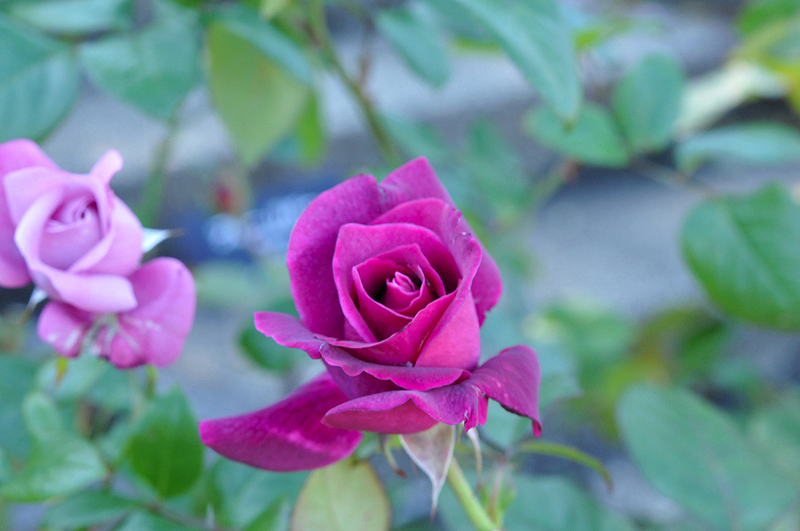 image0331