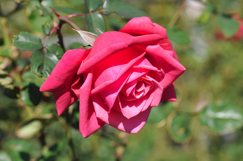 image0338