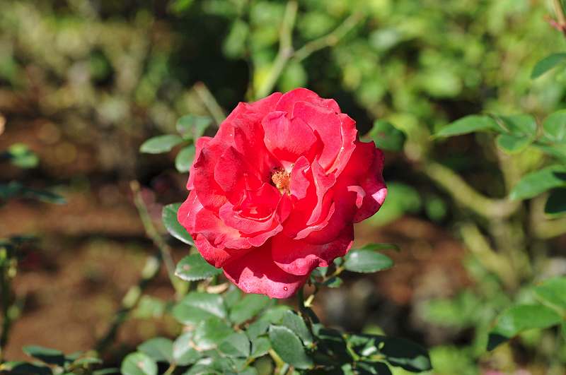 image0339