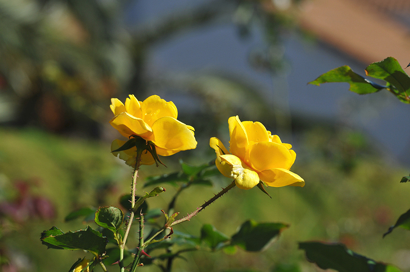 image0340