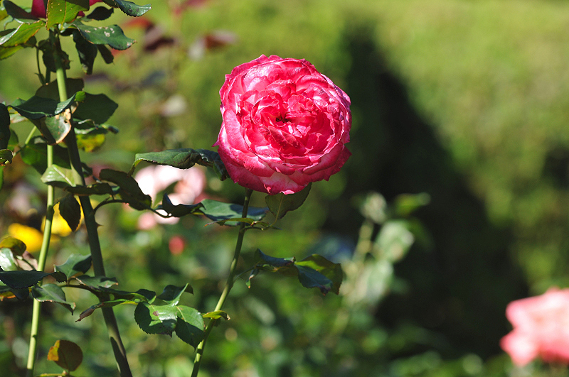 image0342