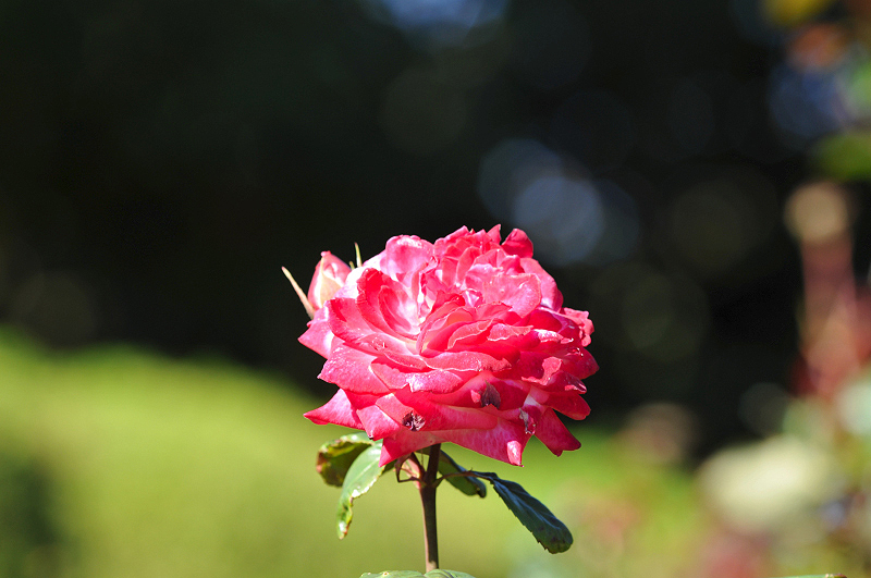 image0343