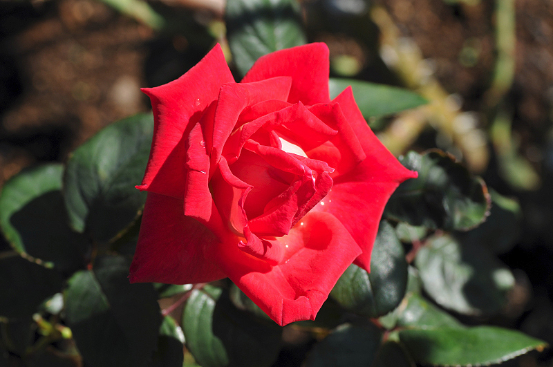 image0346
