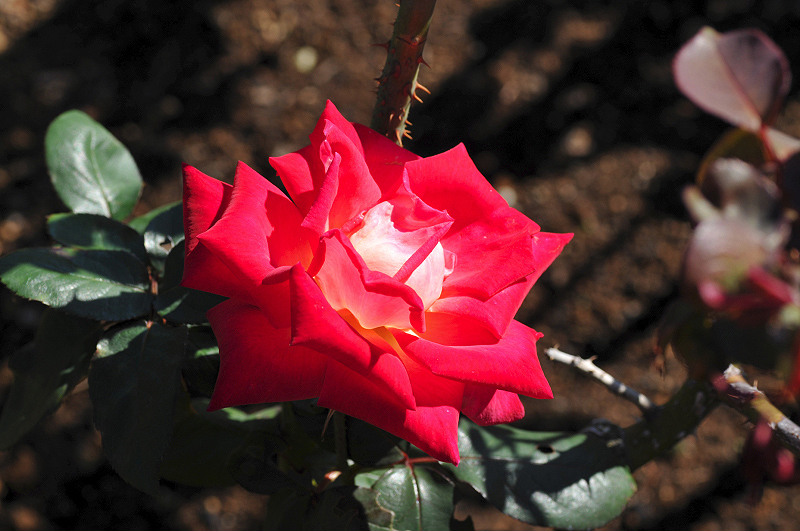 image0347