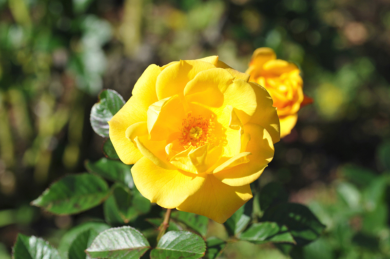 image0351