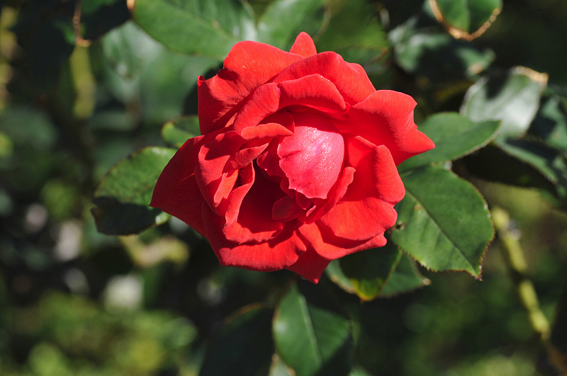 image0352