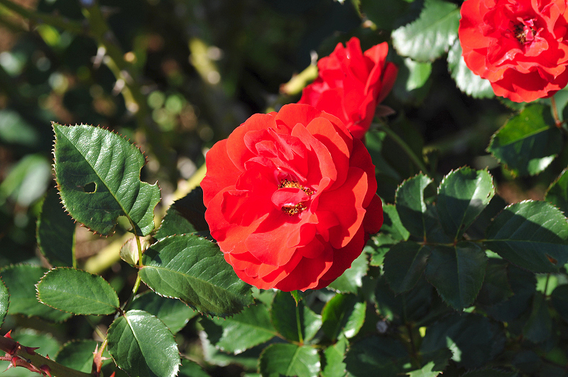 image0354