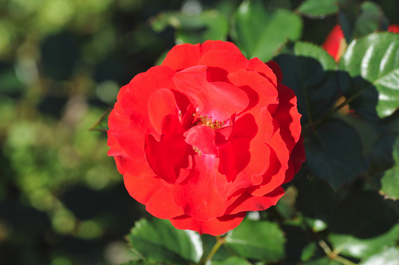 image0355