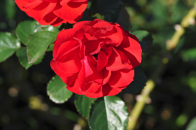 image0356