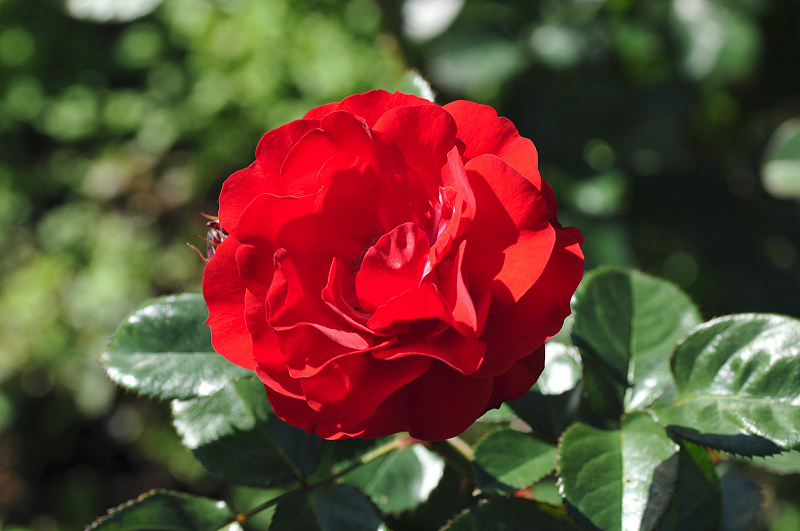image0358
