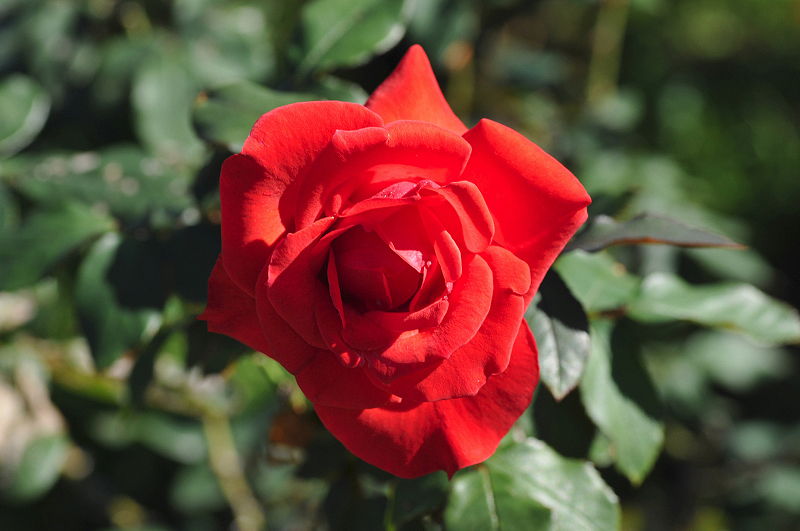 image0360