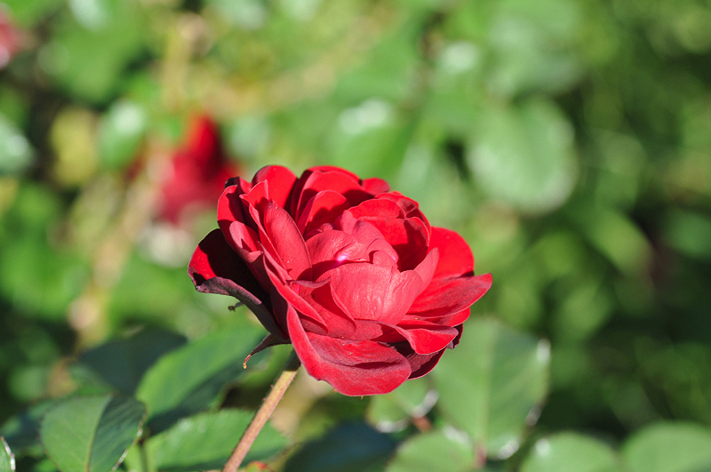 image0364