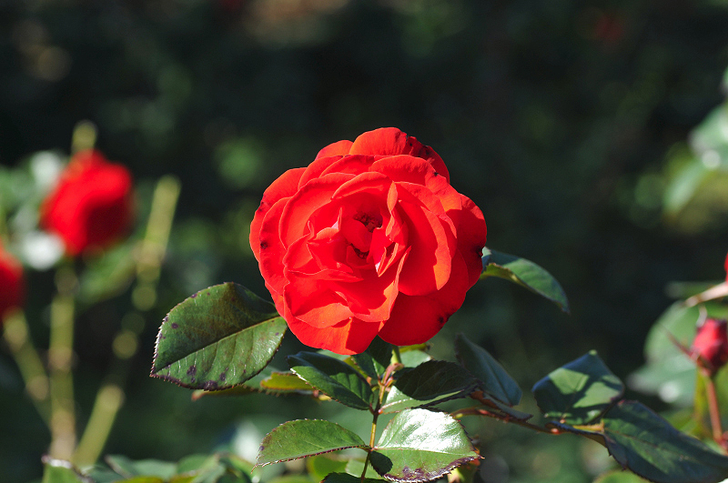 image0367