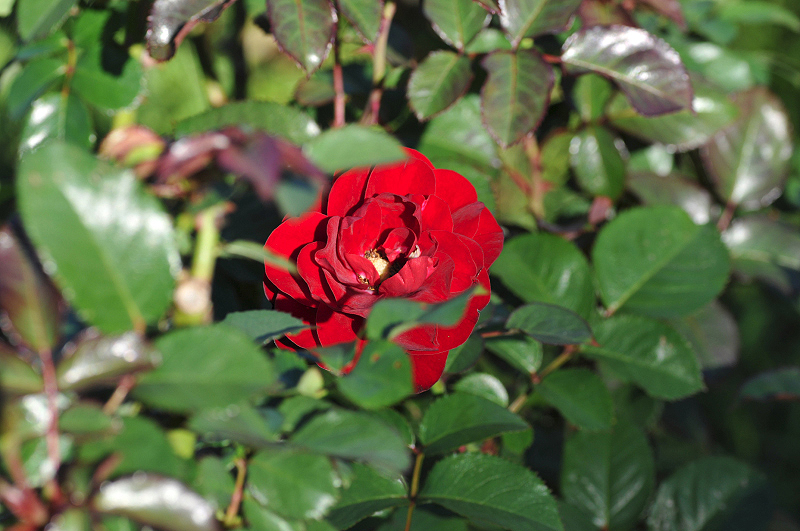 image0368