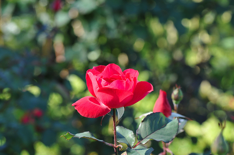 image0369