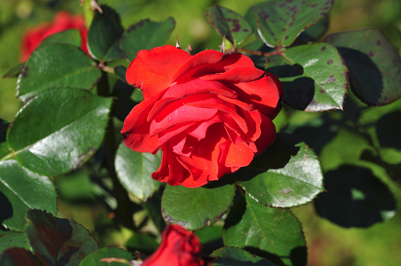 image0372