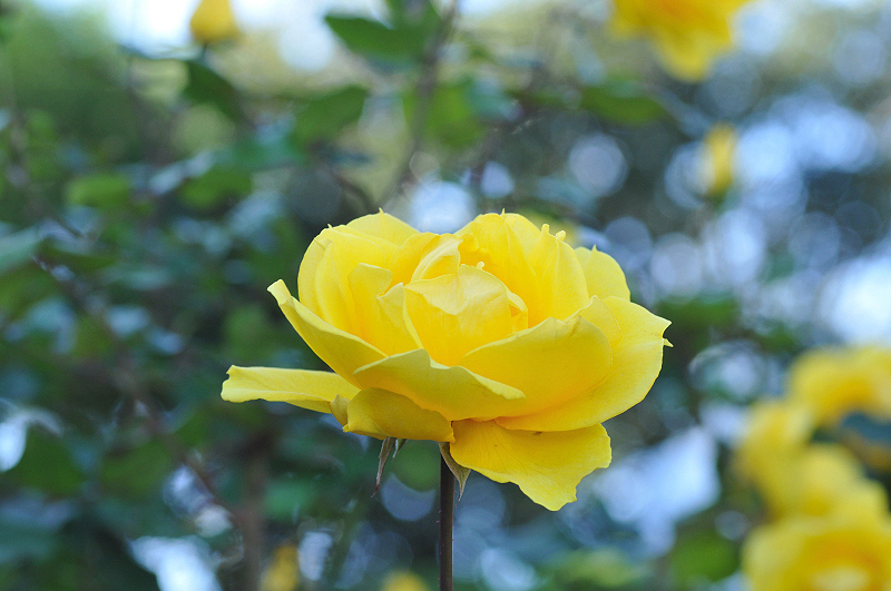 image0373