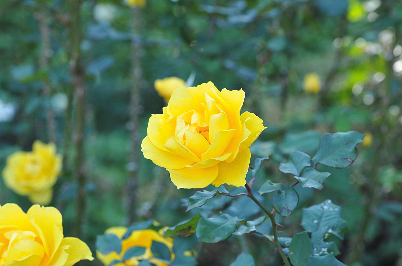 image0374