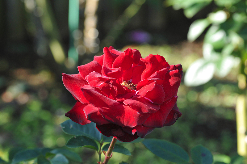 image0377