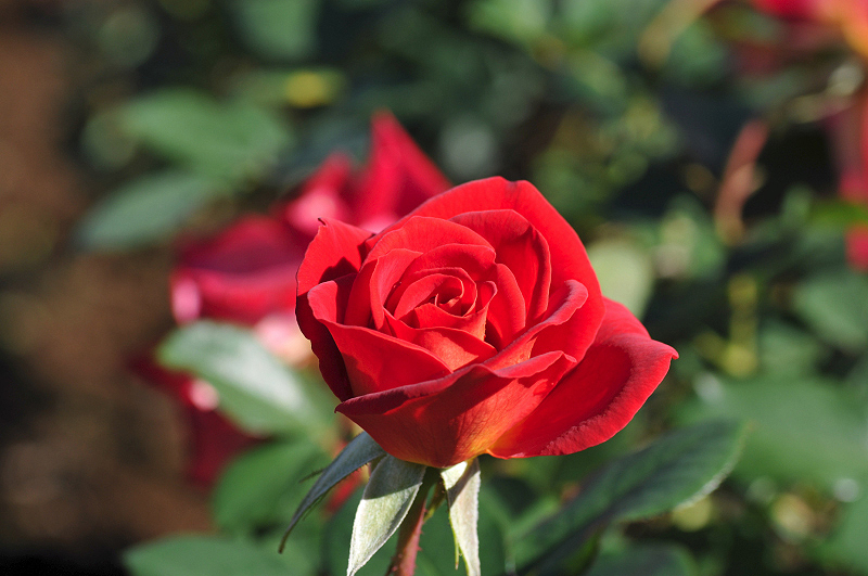 image0378