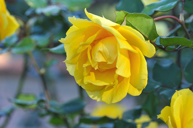 image0380