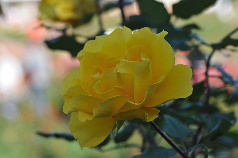 image0381