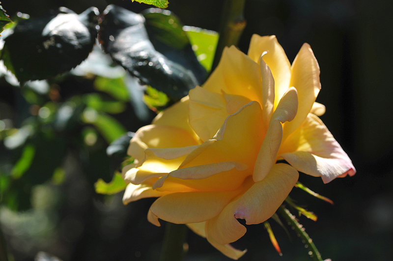 image0382