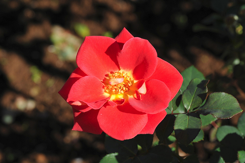 image0383