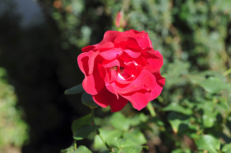 image0388