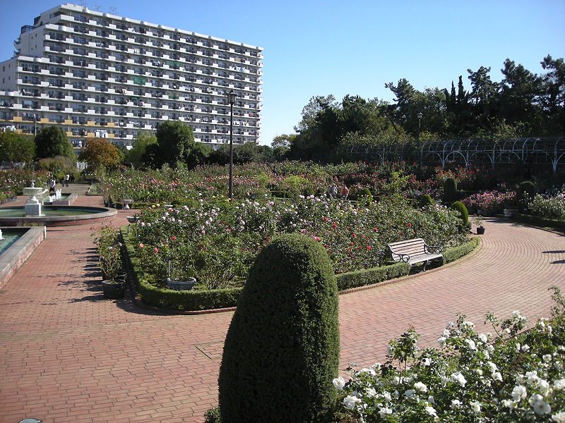 image0390