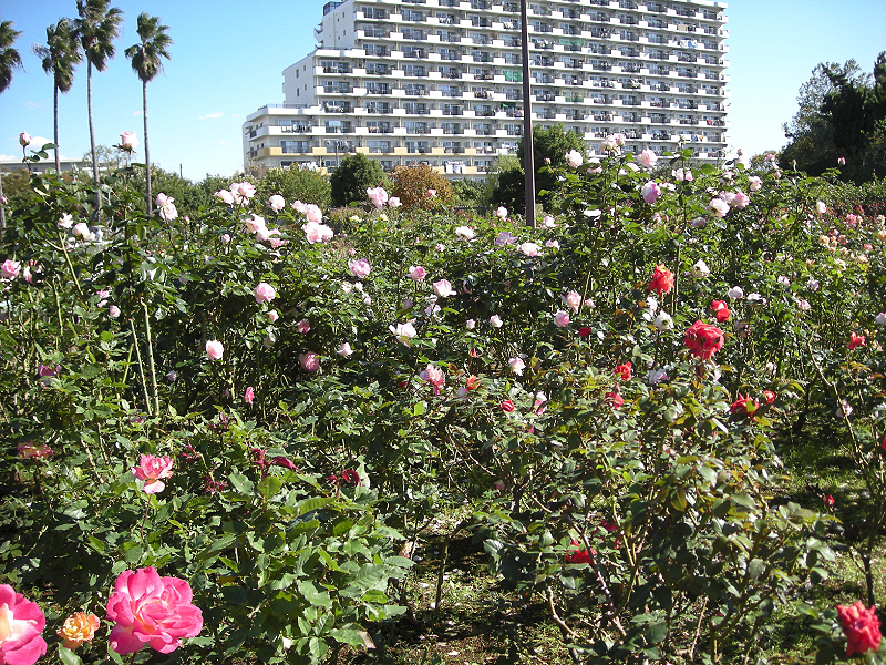 image0392