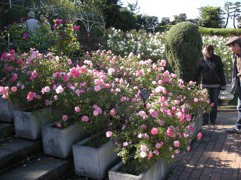 image0395