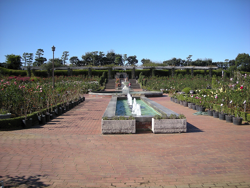 image0398