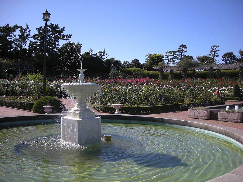 image0401