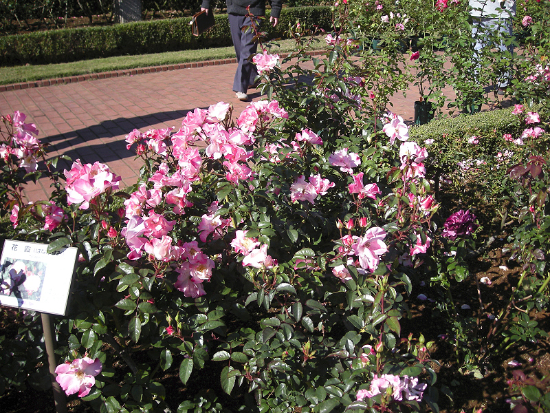 image0403