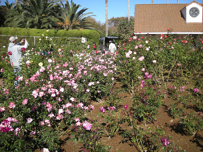 image0404