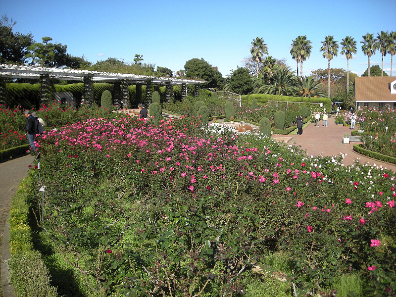 image0408