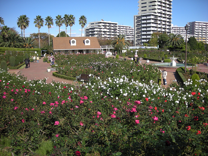 image0409